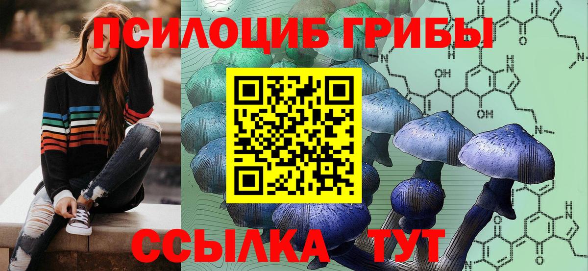Сертолово  Галлюциногенные грибы прущие грибы  Вход с VPN 