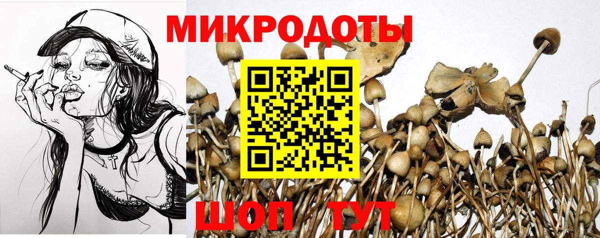 Галлюциногенные грибы мухоморы Сертолово