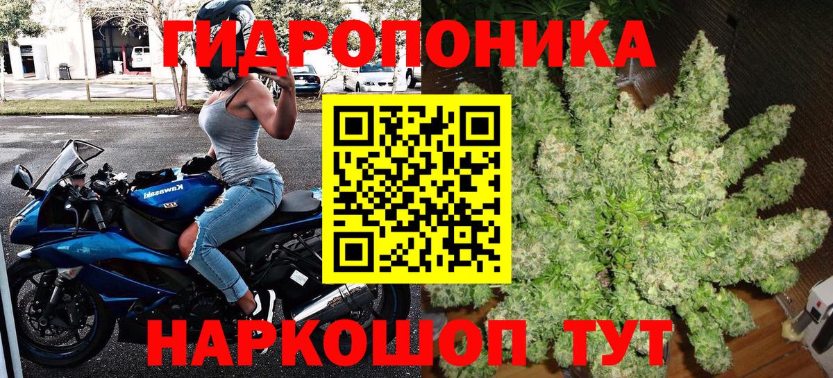 Бошки марихуана Bruce Banner  Вход с VPN  Сертолово  Бошки марихуана гибрид  Конопля SATIVA & INDICA 